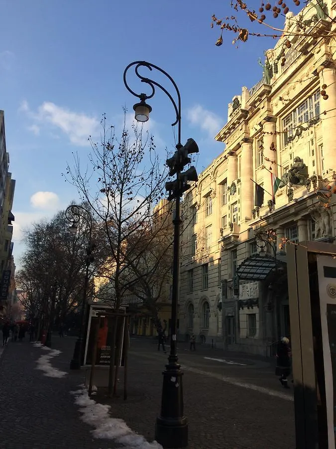 Black Dog Hostel Budapešť