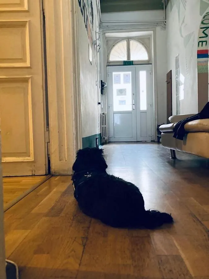 Black Dog Hostel Budapest