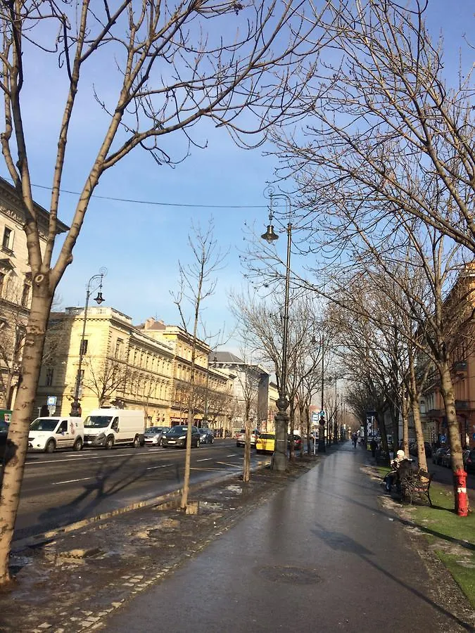 Black Dog Hostel Budapest